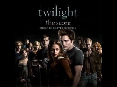 电影童军手册在线视频,野外生存技能大揭秘