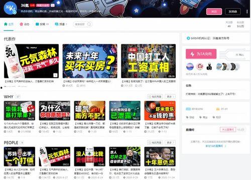 36氪在线视频,揭秘创业生态圈的新趋势与机遇