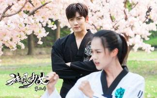 旋风少女2在线视频,青春热血，再战江湖！