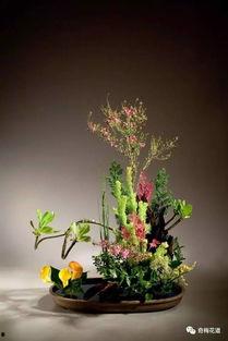 插花综合在线视频,跟随在线视频探索插花艺术奥秘